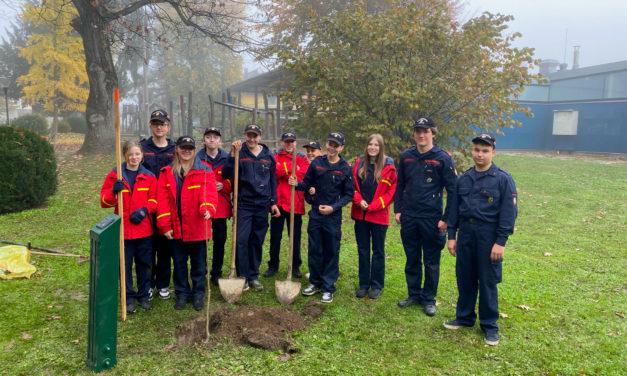 Stadtfeuerwehr Leibnitz: Ein Bergahorn fürs Klima