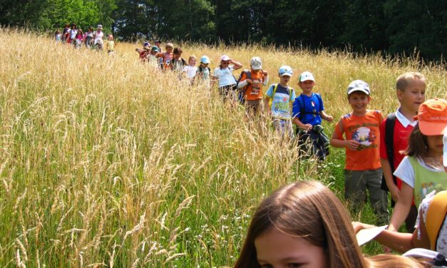 Das Naturpark Südsteiermark Netzwerk