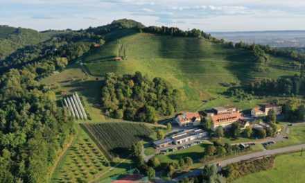 Silberberg ist Austragungsort der „European winechampionship“ 2023