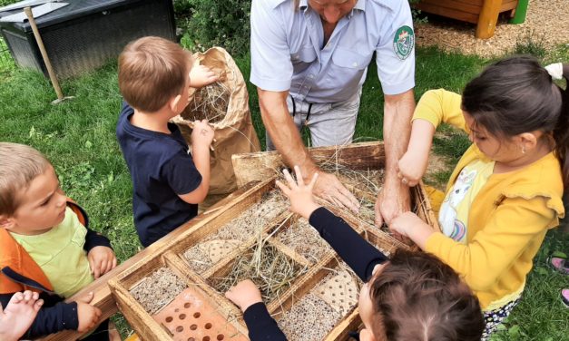 Naturparkkindergarten Seggauberg – Ein Insektenhotel im neu gestalteten Garten