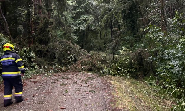 Unwetter auf dem Vormarsch: Ist der Klimawandel die Ursache?  – Auch Leibnitz immer wieder betroffen