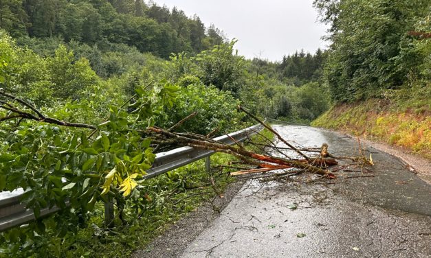 Unwetter auf dem Vormarsch: Ist der Klimawandel die Ursache?  – Auch Leibnitz immer wieder betroffen