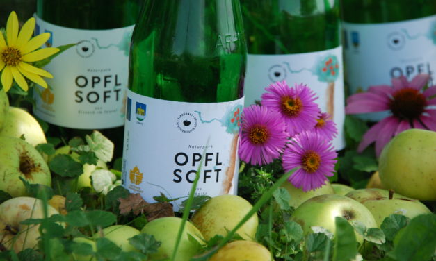 OPFLSOFT aus Leibnitz