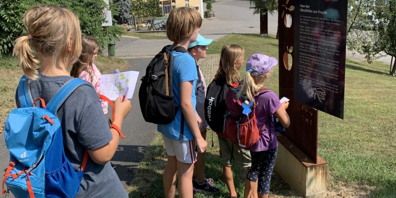 Kulinarisches Sommercamp in Silberberg begeistert junge Feinschmecker