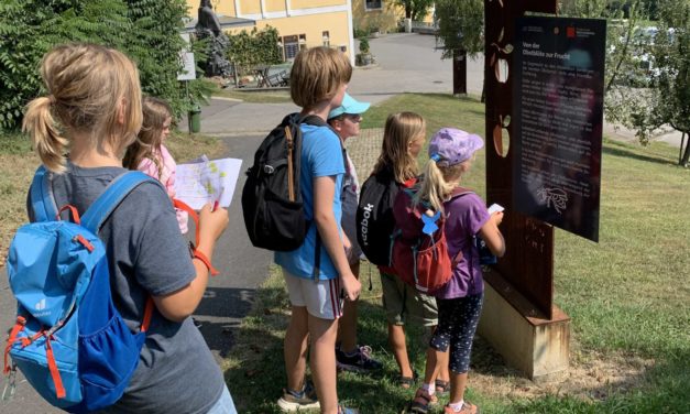 Kulinarisches Sommercamp in Silberberg begeistert junge Feinschmecker