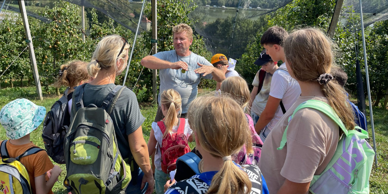 Kulinarisches Sommercamp in Silberberg begeistert junge Feinschmecker