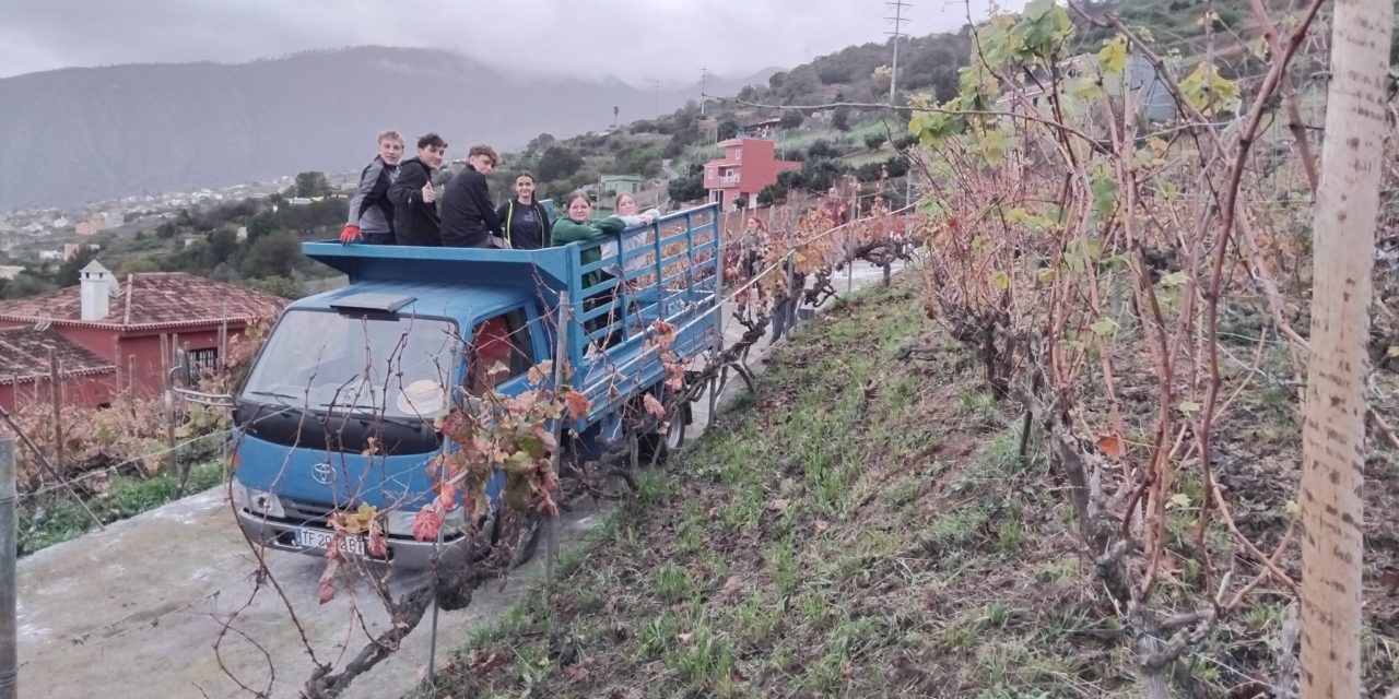 Bildungszentrum für Obst- und Weinbau Silberberg: Weinbaupraxis auf Teneriffa?