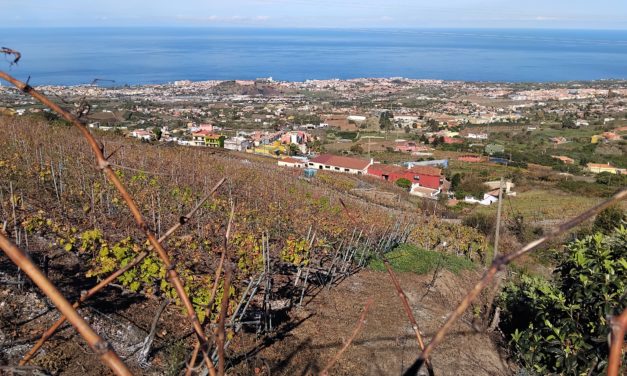 Bildungszentrum für Obst- und Weinbau Silberberg: Weinbaupraxis auf Teneriffa?