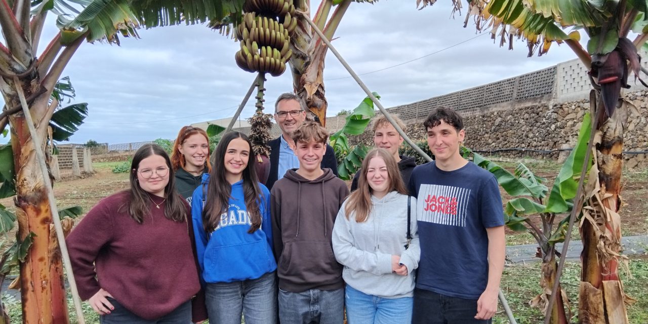 Bildungszentrum für Obst- und Weinbau Silberberg: Weinbaupraxis auf Teneriffa?