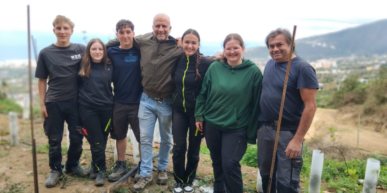 Bildungszentrum für Obst- und Weinbau Silberberg: Weinbaupraxis auf Teneriffa?