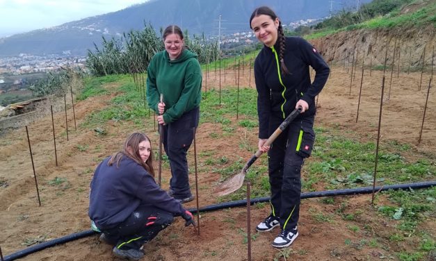 Bildungszentrum für Obst- und Weinbau Silberberg: Weinbaupraxis auf Teneriffa?