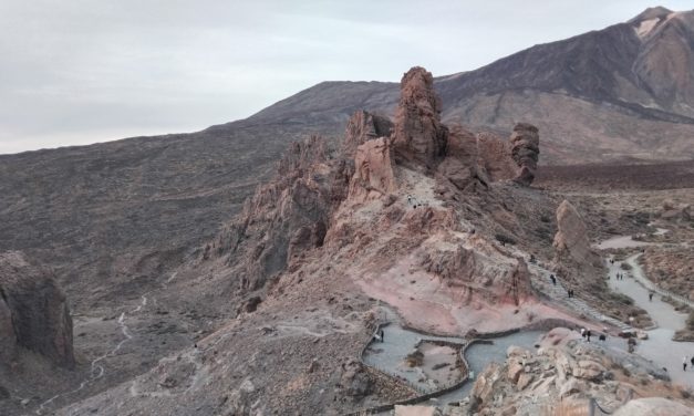 Bildungszentrum für Obst- und Weinbau Silberberg: Weinbaupraxis auf Teneriffa?