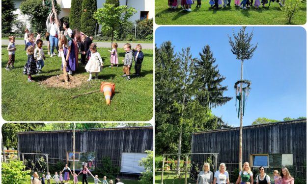 Maibaumaufstellen in der Kinderkrippe Sparefroh III