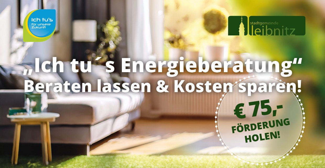 „Ich tu´s Energieberatung“: € 75,- Förderung durch die Stadtgemeinde Leibnitz
