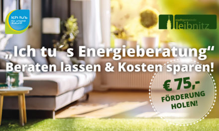 „Ich tu´s Energieberatung“: € 75,- Förderung durch die Stadtgemeinde Leibnitz