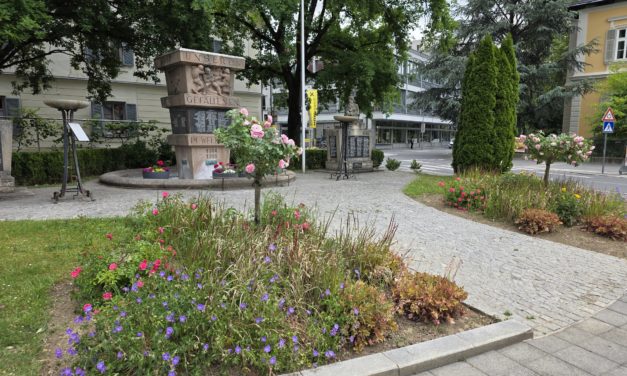 Blumenmeer rund um das Kriegerdenkmal am Hauptplatz