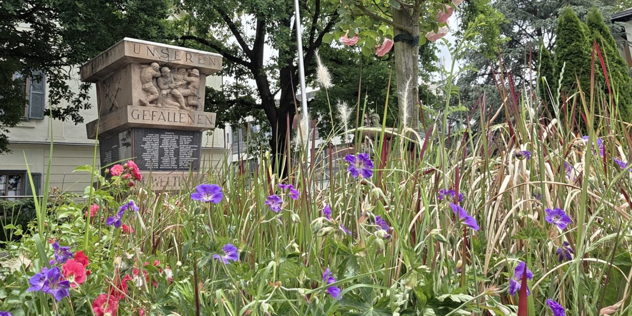 Blumenmeer rund um das Kriegerdenkmal am Hauptplatz