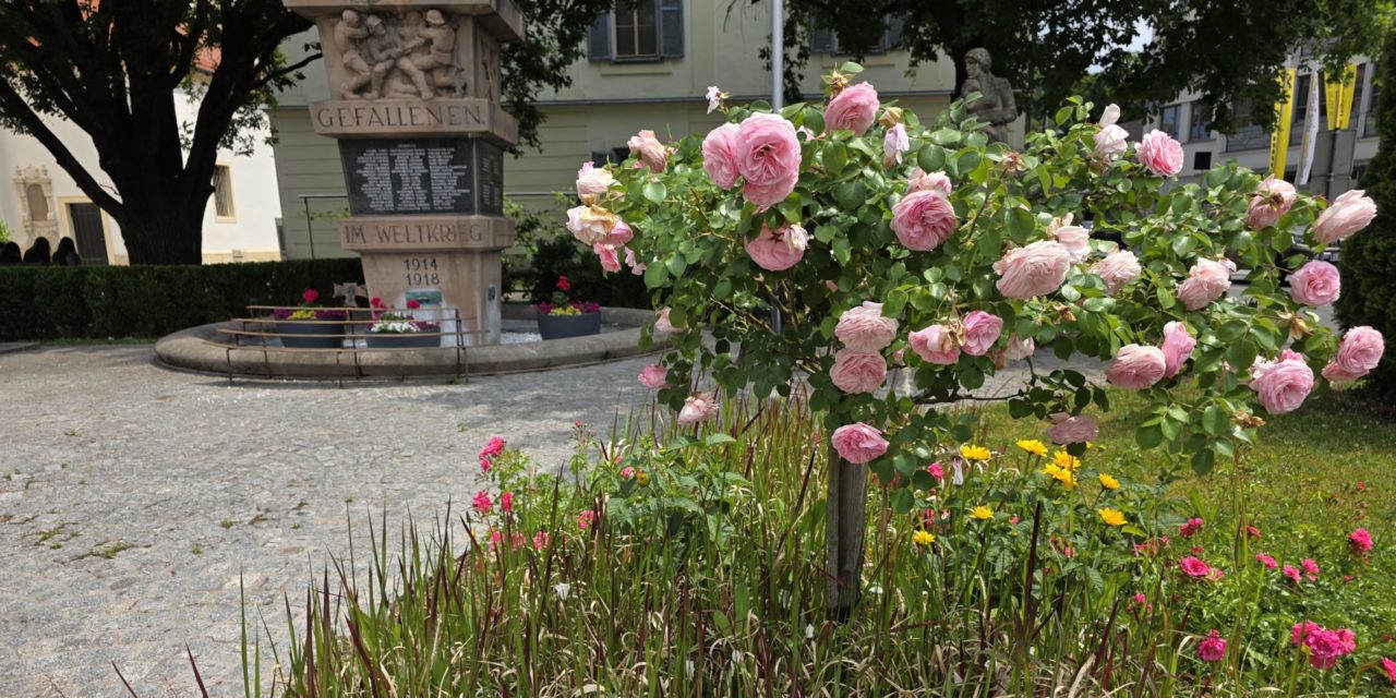 Blumenmeer rund um das Kriegerdenkmal am Hauptplatz
