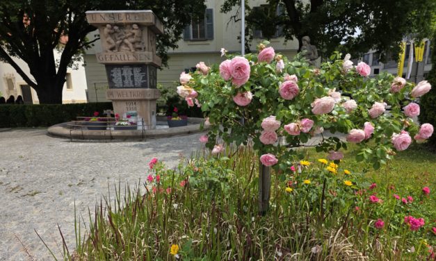 Blumenmeer rund um das Kriegerdenkmal am Hauptplatz