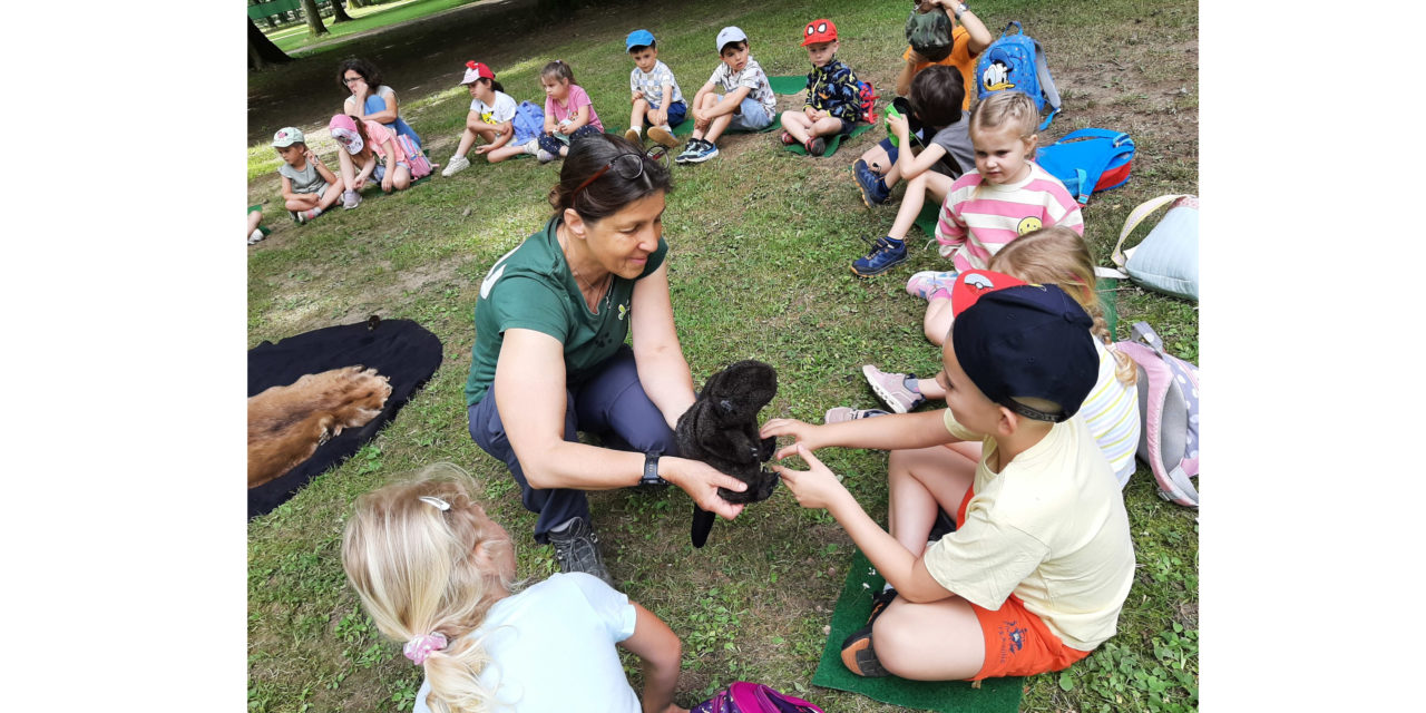 Naturpark-Kindergarten Seggauberg: Projekttag „Biber & Fluss“