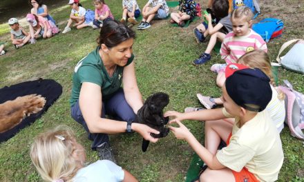 Naturpark-Kindergarten Seggauberg: Projekttag „Biber & Fluss“