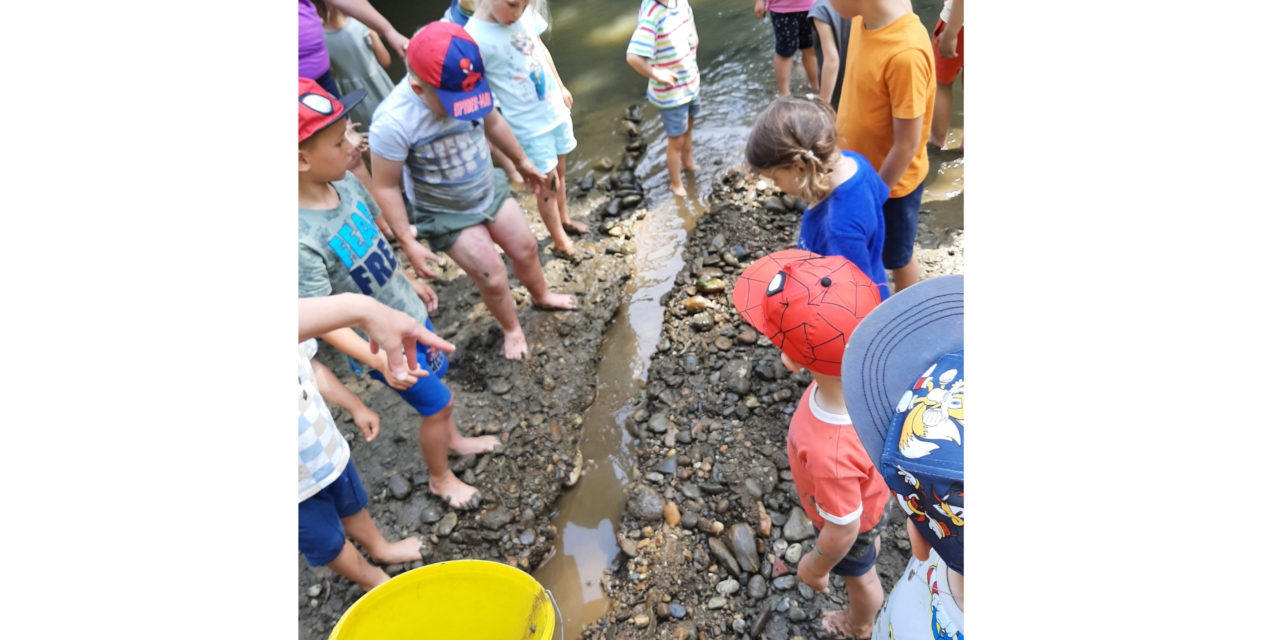 Naturpark-Kindergarten Seggauberg: Projekttag „Biber & Fluss“