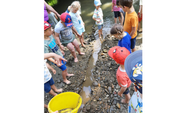 Naturpark-Kindergarten Seggauberg: Projekttag „Biber & Fluss“