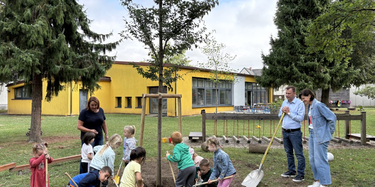Neue Bäume für den Kindergarten Sumsi