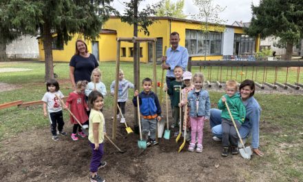 Neue Bäume für den Kindergarten Sumsi