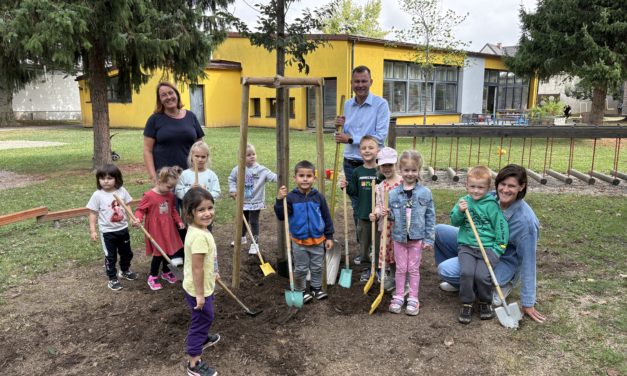 Neue Bäume für den Kindergarten Sumsi