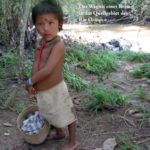 Expedition Orinoco: Neues Buch von Bernhard Theissel