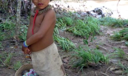 Expedition Orinoco: Neues Buch von Bernhard Theissel