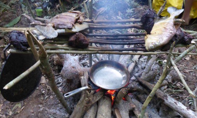 Expedition Orinoco: Neues Buch von Bernhard Theissel