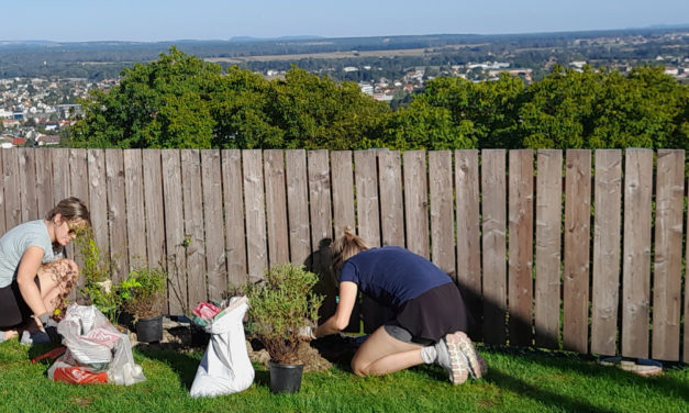 Landjugend Leibnitz: „A guade Sicht“ Aussichtsplatz am Seggauberg