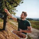 Streuobstaktion für die Südweststeiermark