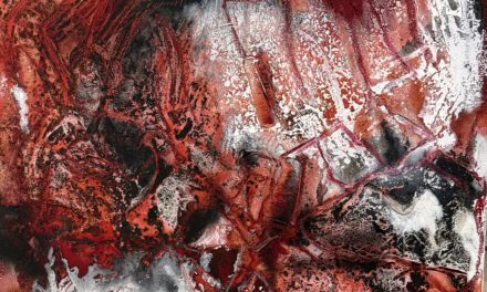 Vernissage Andrea Guidassoni: Schleier des Unsichtbaren
