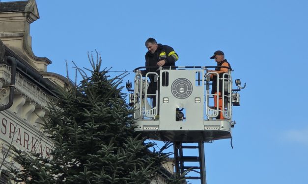 Der Leibnitzer Christbaum