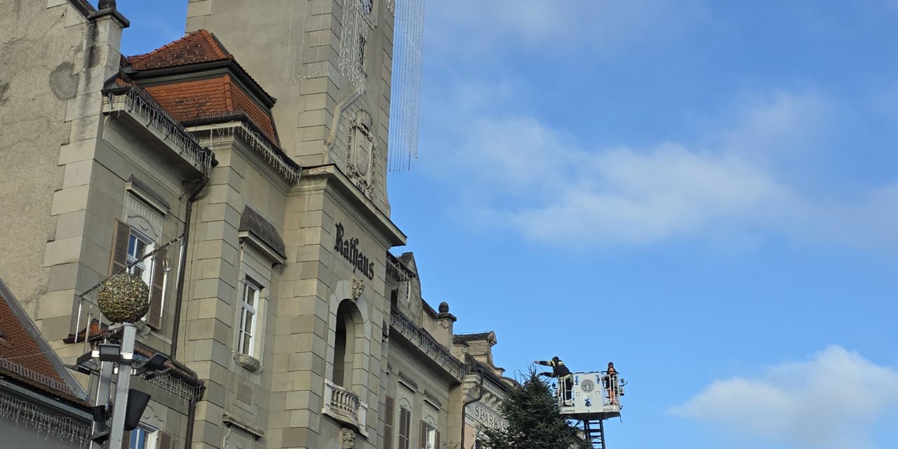 Der Leibnitzer Christbaum
