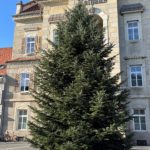 Der Leibnitzer Christbaum