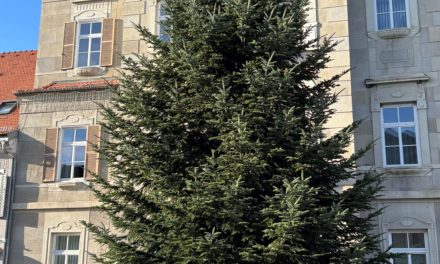 Der Leibnitzer Christbaum