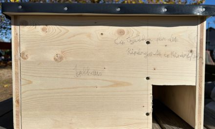 Igelhaus Kindergarten Kaindorf