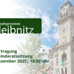 Liveübertragung der Gemeinderatssitzung