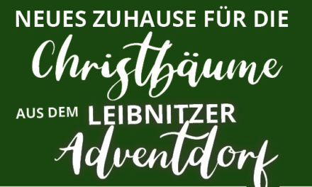 Christbäume zu verschenken
