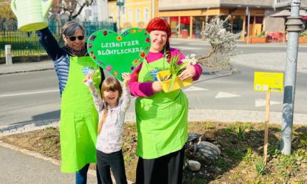 Leibnitz blüht auf: „Omas for Future“ starten Frühlings-Offensive und suchen Mitstreiter für die Stadtnatur