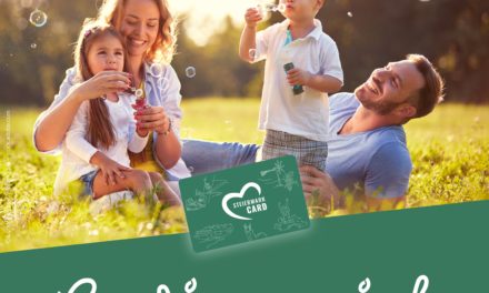Eine von 4 Steiermark-Cards gewinnen!