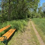 Tag des Zu Fuß Gehens: Unterwegs in Leibnitz