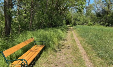 Tag des Zu Fuß Gehens: Unterwegs in Leibnitz