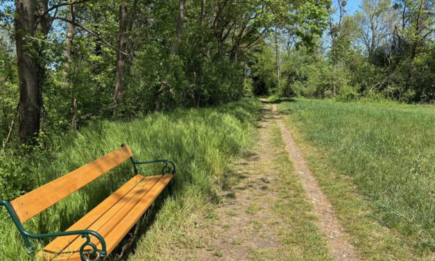 Tag des Zu Fuß Gehens: Unterwegs in Leibnitz