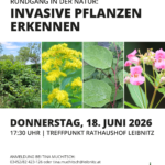 Rundgang in der Natur: Invasive Pflanzenarten erkennen