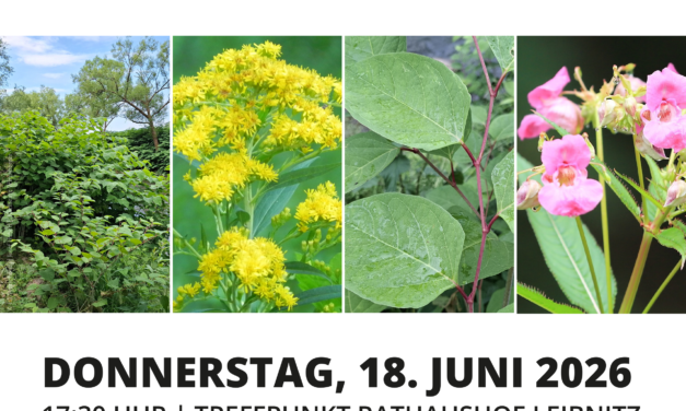 Rundgang in der Natur: Invasive Pflanzenarten erkennen